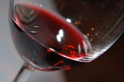  Il senso della vite: a Vicenza il vino è filosofia