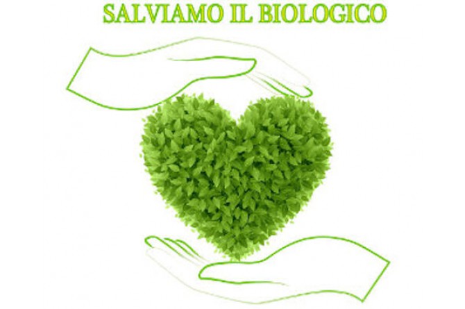 Il 15 e 16 novembre vi aspetta "Modena città del biologico e della vita rurale"