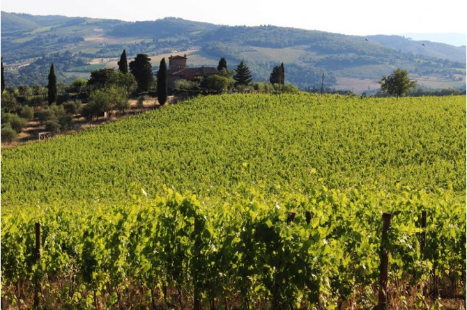 Dal 18 al 21 settembre torna Vino al Vino a Panzano in Chianti