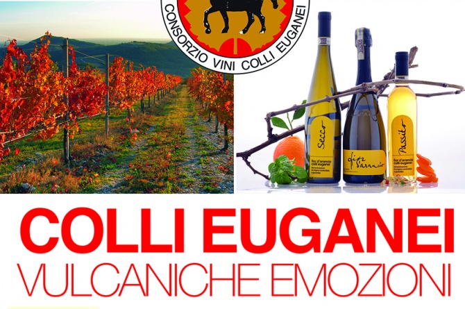 Vulcaniche emozioni: l'8 e 9 novembre i vini dei Colli Euganei saranno a Roma