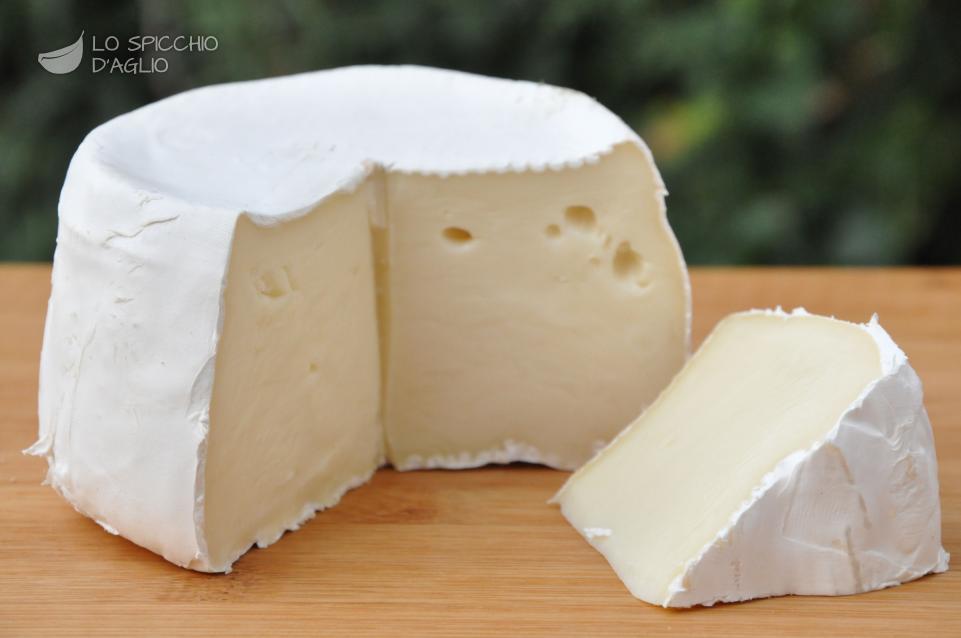 Boscatella Boscatella