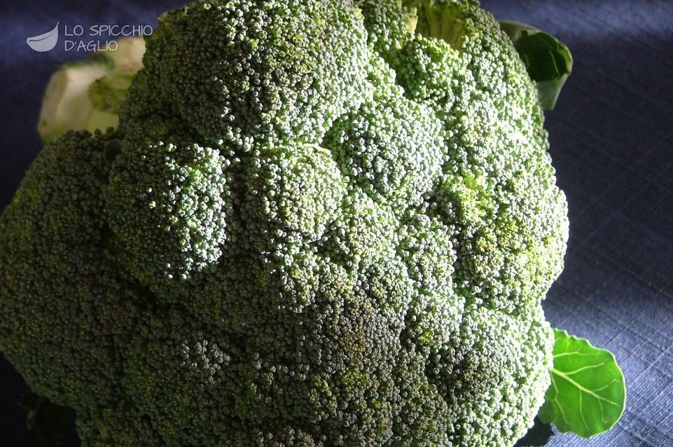 Broccoli Broccoli