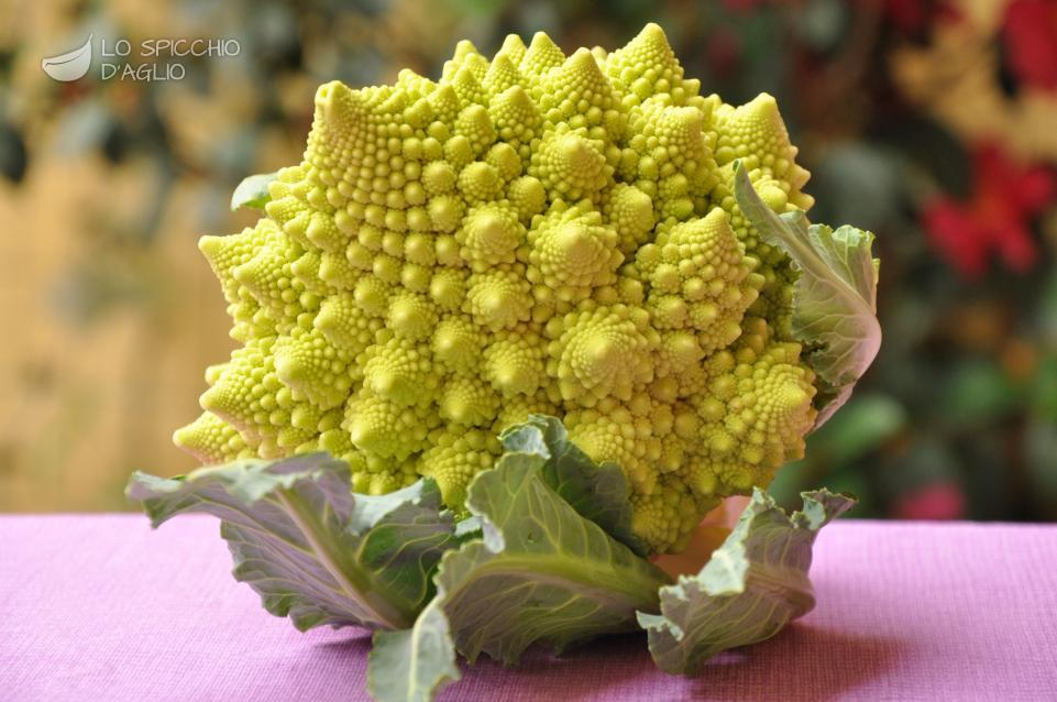 Broccolo romanesco Broccolo romanesco