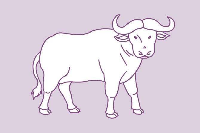 Bufalo Bufalo