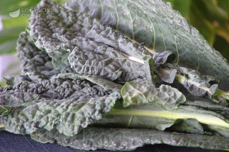 Cavolo nero