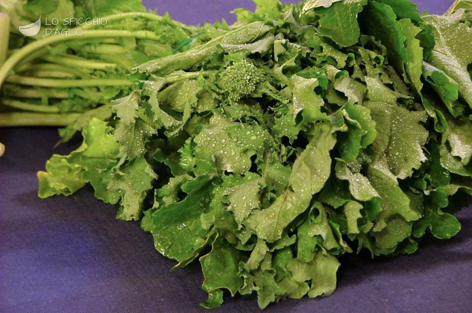 Cime di rapa Cime di rapa