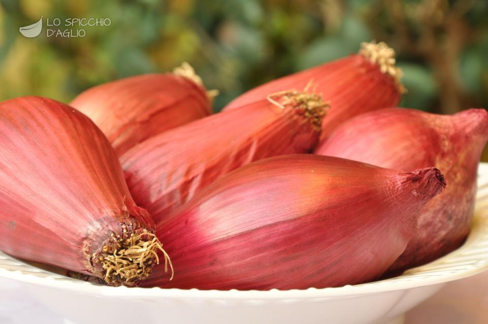 Cipolle rosse di Tropea