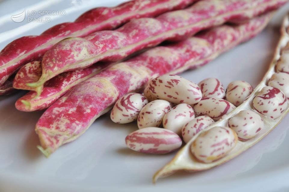 Fagioli borlotti