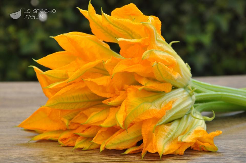 Fiori di zucca