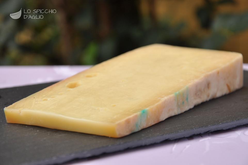 Fontina Fontina