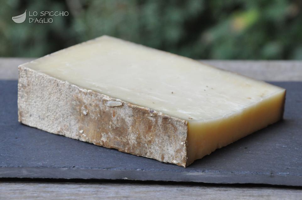 Formaggio di malga