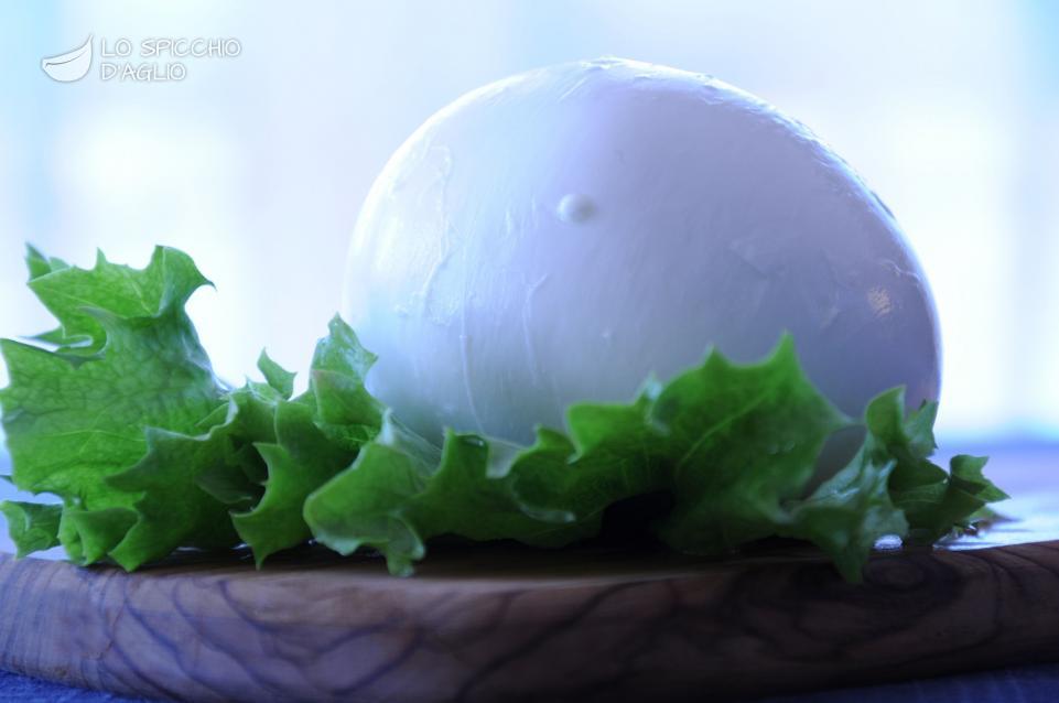 Mozzarella di bufala Mozzarella di bufala