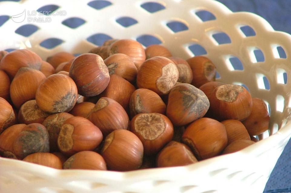 Nocciole Nocciole