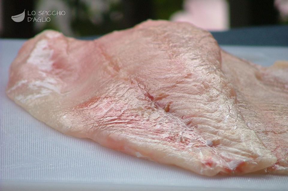 Pesce persico Pesce persico