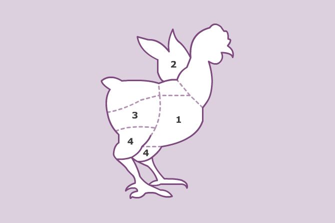 Pollo Pollo