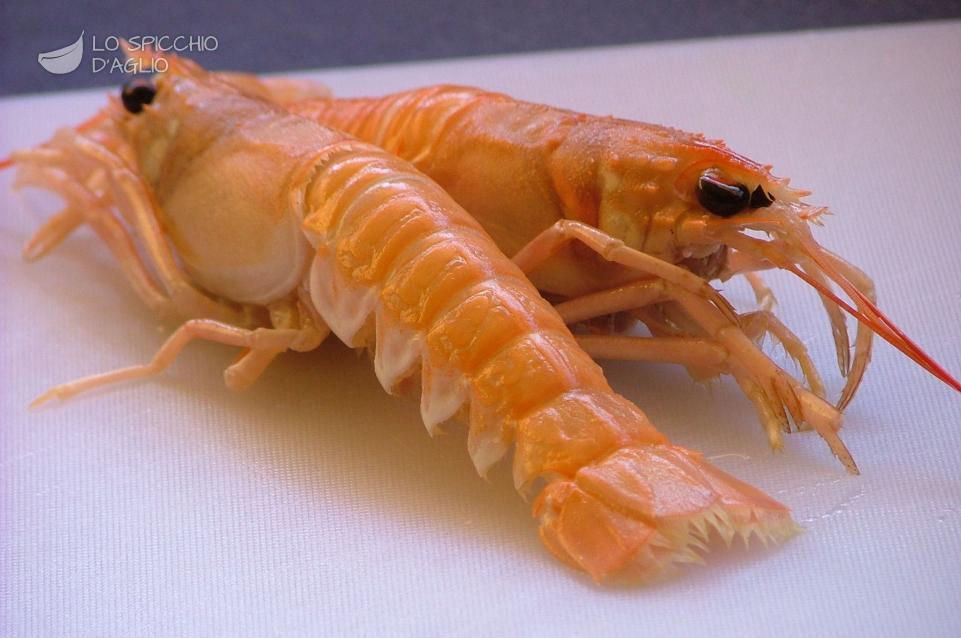 Scampi