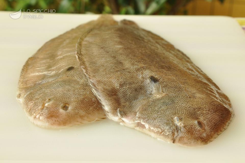 Sogliola Sogliola