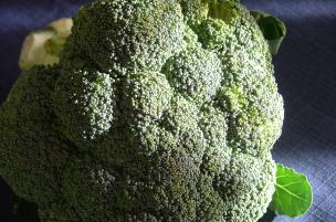 Broccoli