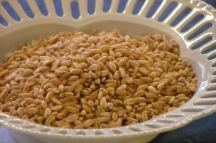 Farro