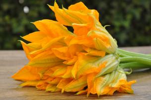 Fiori di zucca