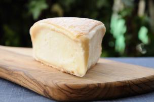 Taleggio