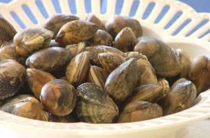 Vongole