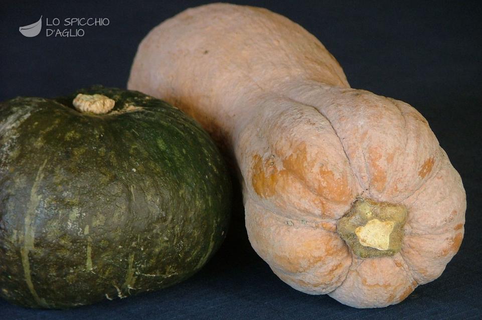 Zucca