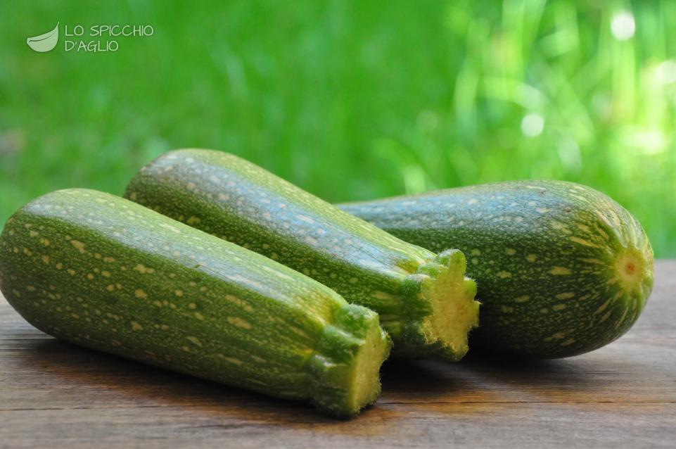 Zucchine