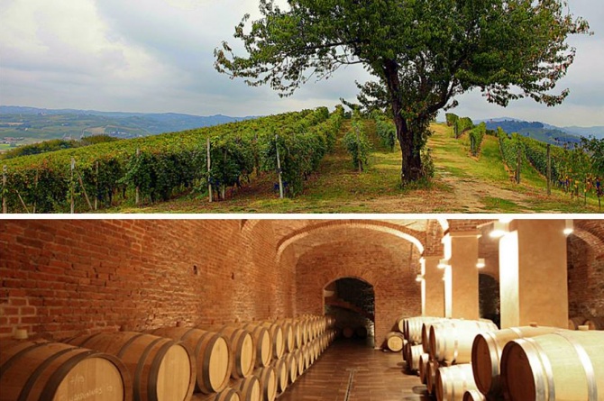 Il primo agosto a Canelli si festeggiano le Cattedrali sotterranee Il primo agosto a Canelli si festeggiano le Cattedrali sotterranee