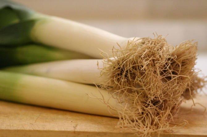 Dall'8 al 23 novembre a Cervere si rinnova l'appuntamento con la "Fiera del Porro" Dall'8 al 23 novembre a Cervere si rinnova l'appuntamento con la "Fiera del Porro"