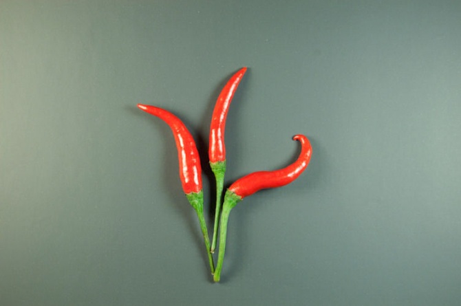 A Roma dal 23 al 25 ottobre va in scena il peperoncino A Roma dal 23 al 25 ottobre va in scena il peperoncino