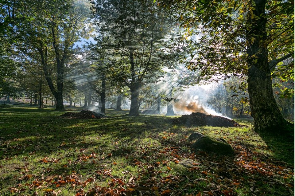 #AmiatAutunno: il 29 e 30 settembre a Castel di Piano arriva la "Sagra della Bruschetta e dell'olio nuovo"