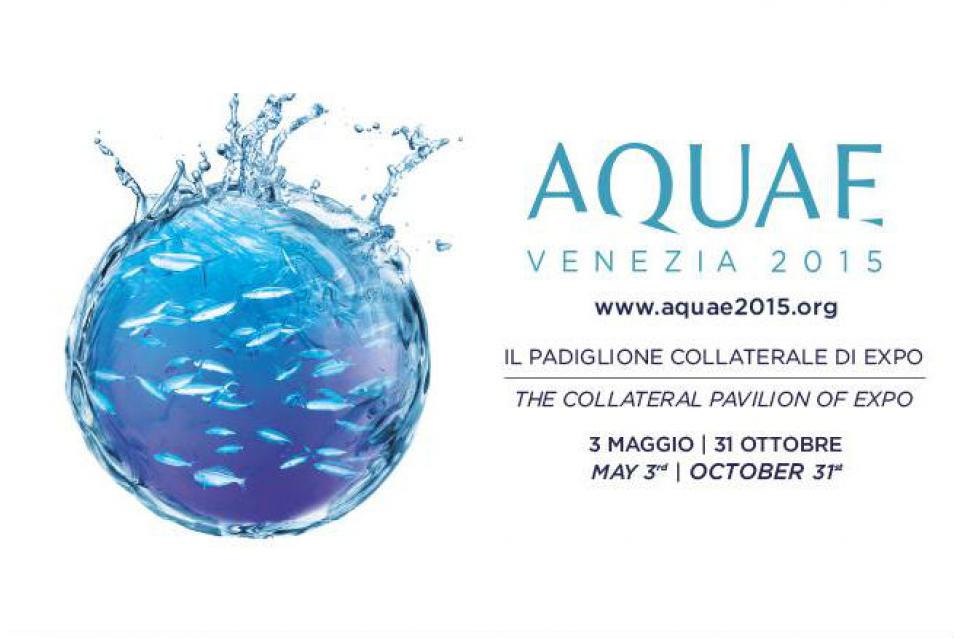 Aquae 2015, l'esposizione universale dedicata all'acqua: fino al 31 ottobre a Venezia