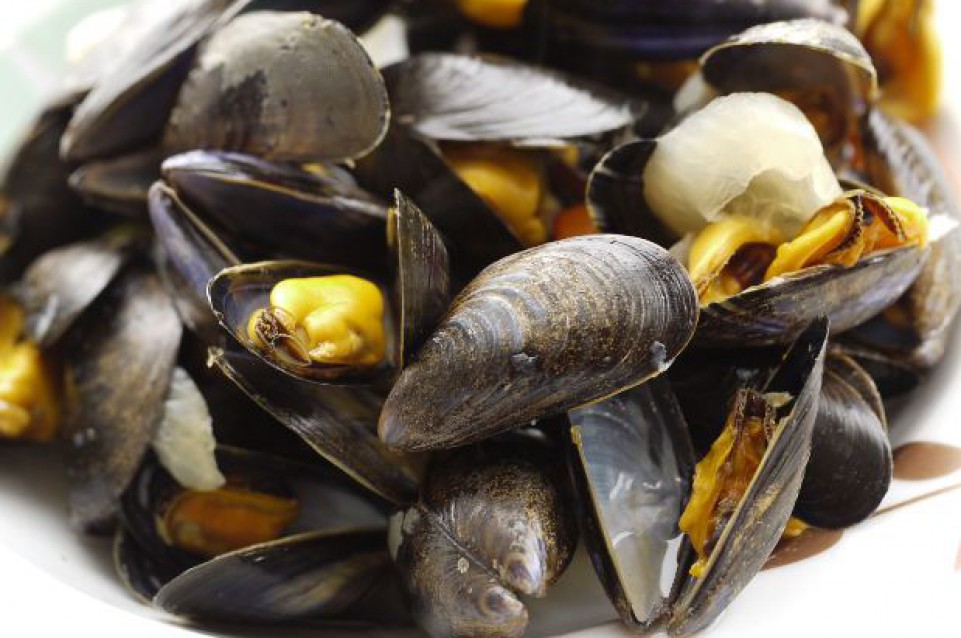 Dal 4 al 7 giugno arriva il gusto della "cozza di Cervia in festa" Dal 4 al 7 giugno arriva il gusto della "cozza di Cervia in festa"