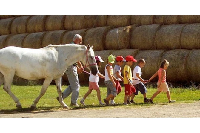 Il 13 e 14 settembre a Campacavallo divertitevi con il Circo in fattoria