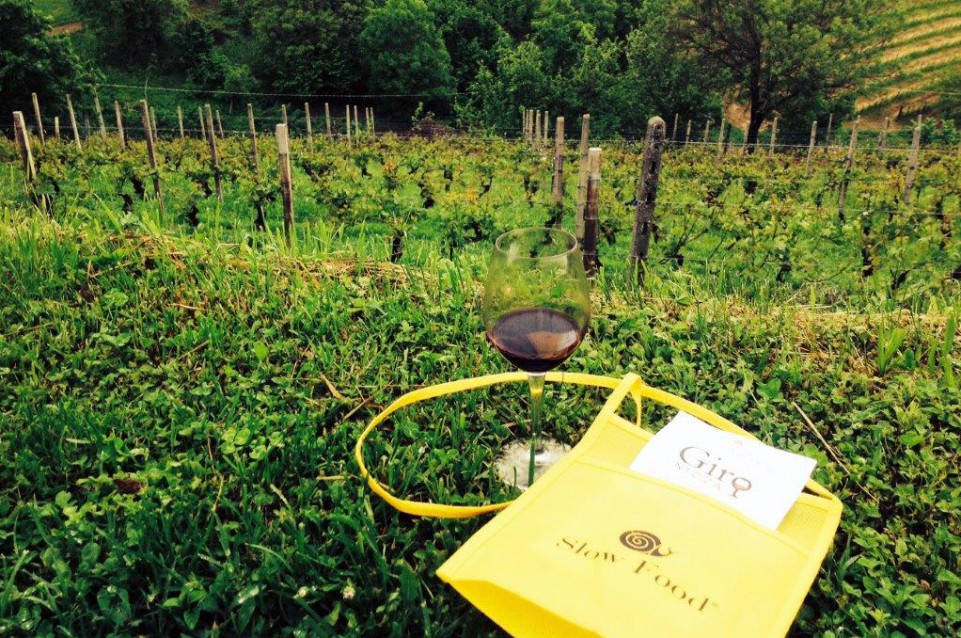 Cantine a Nord Ovest: da marzo a ottobre in Piemonte tanti appuntamenti col gusto