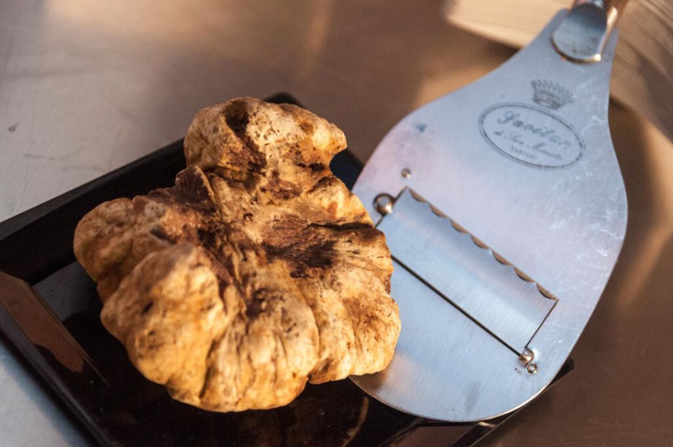 Le capitali toscane del tartufo bianco protagoniste al Fuori Expo il 27 ottobre Le capitali toscane del tartufo bianco protagoniste al Fuori Expo il 27 ottobre