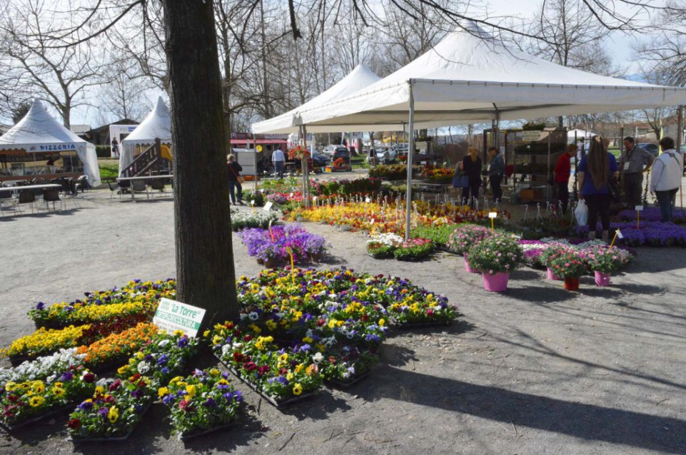 Il 9 e 10 aprile a Carmagnola l'appuntamento è con "Ortoflora & Natura" Il 9 e 10 aprile a Carmagnola l'appuntamento è con "Ortoflora & Natura"