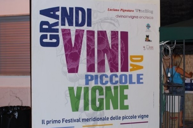 Castelvenere, 28/07/2009: Grandi Vini da Piccole Vigne