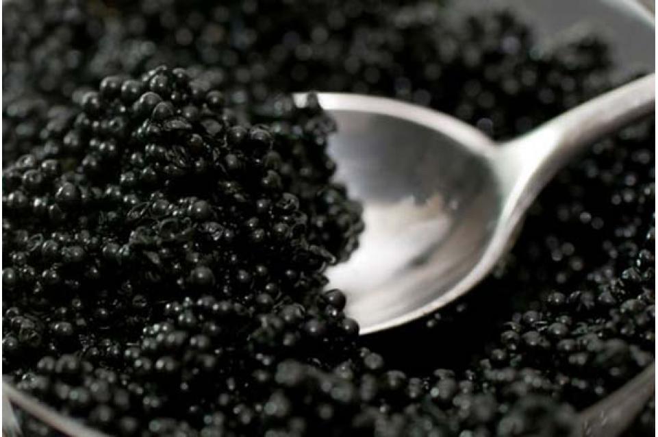 Caviale: le costose e prelibate perle che vengono dalla Russia