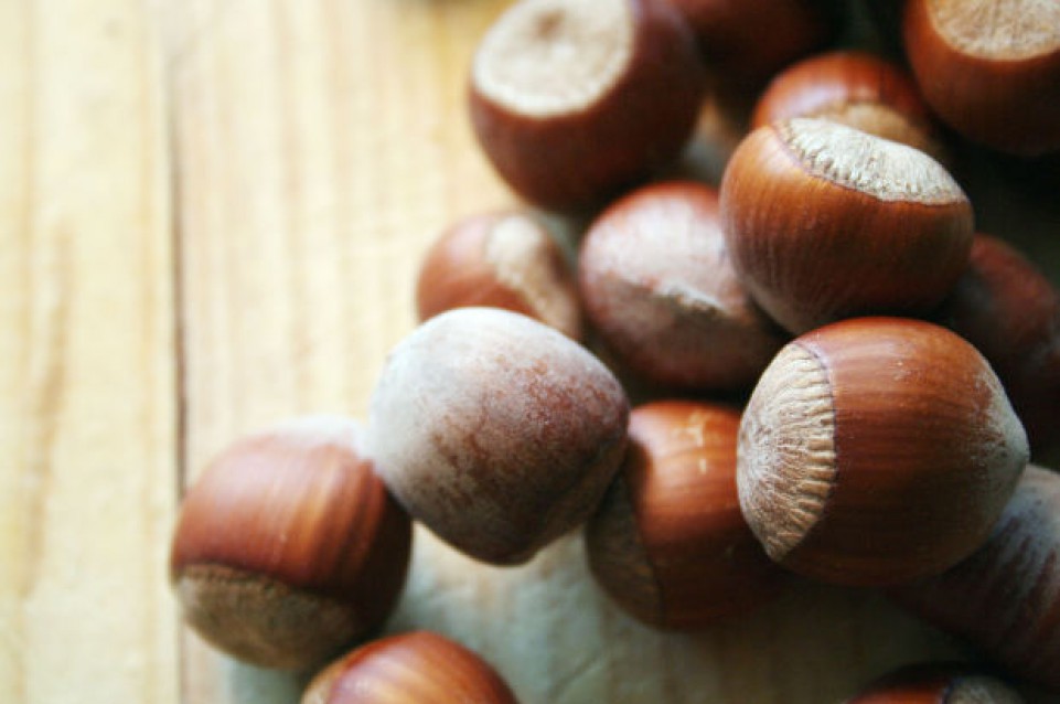 Cibo anti stress: ecco cosa non deve mai mancare nel frigorifero Cibo anti stress: ecco cosa non deve mai mancare nel frigorifero
