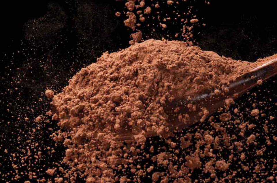 Cioccolato: migliora le capacità cognitive Cioccolato: migliora le capacità cognitive