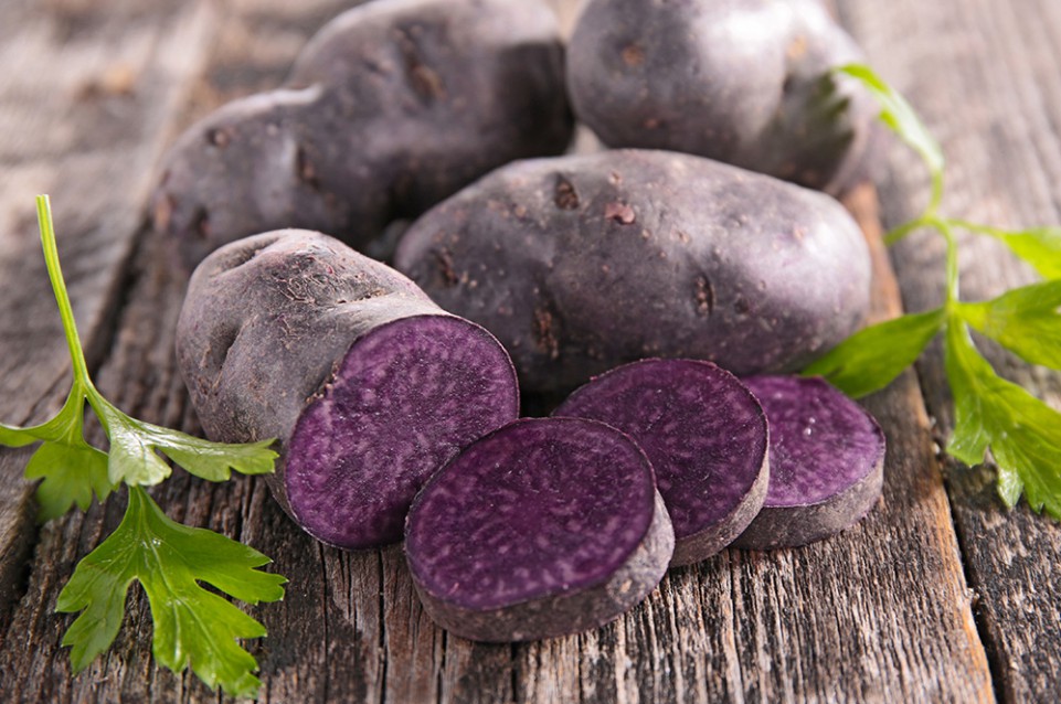 Combattere l'invecchiamento con l'alimentazione? Ecco la patata viola! Combattere l'invecchiamento con l'alimentazione? Ecco la patata viola!
