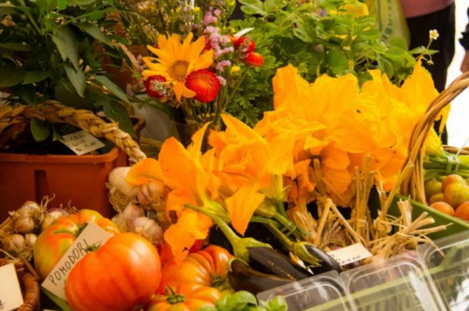 A Courmayeur il 5 settembre arriva la fiera gastronomica "Lo Matsòn" A Courmayeur il 5 settembre arriva la fiera gastronomica "Lo Matsòn"