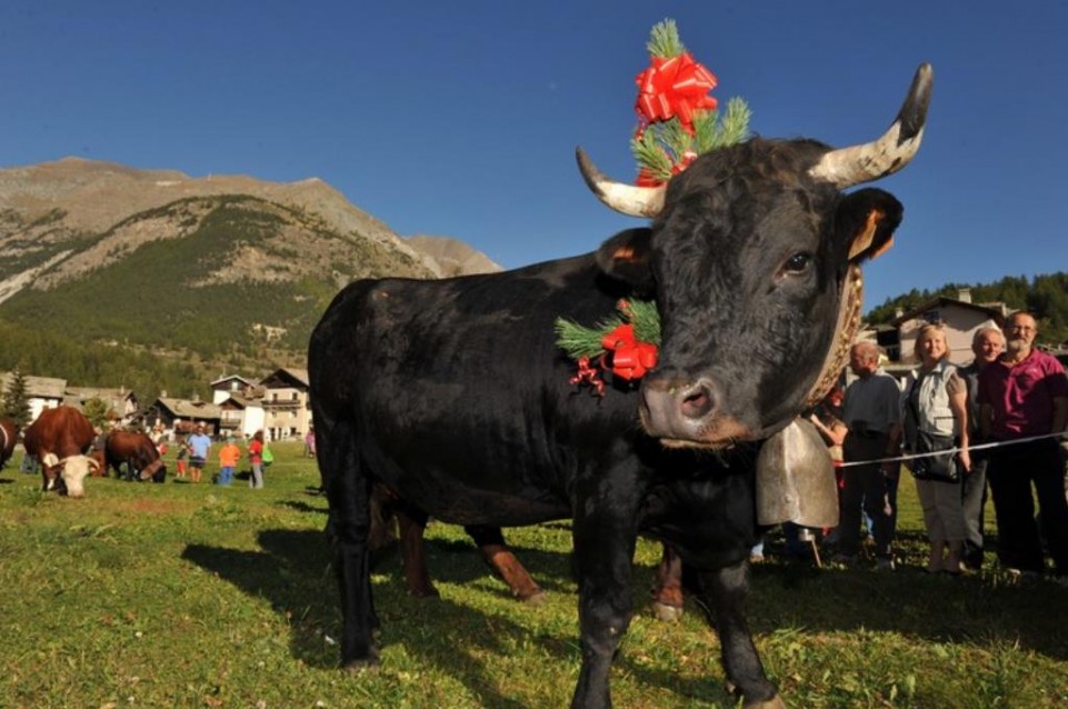 Devétéya é Féra de Cogne: dal 28 al 30 settembre tornano gusto e tradizione