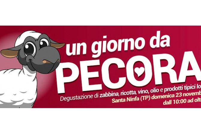Domenica 23 novembre a Santa Ninfa vi aspetta "Un giorno da pecora" Domenica 23 novembre a Santa Ninfa vi aspetta "Un giorno da pecora"