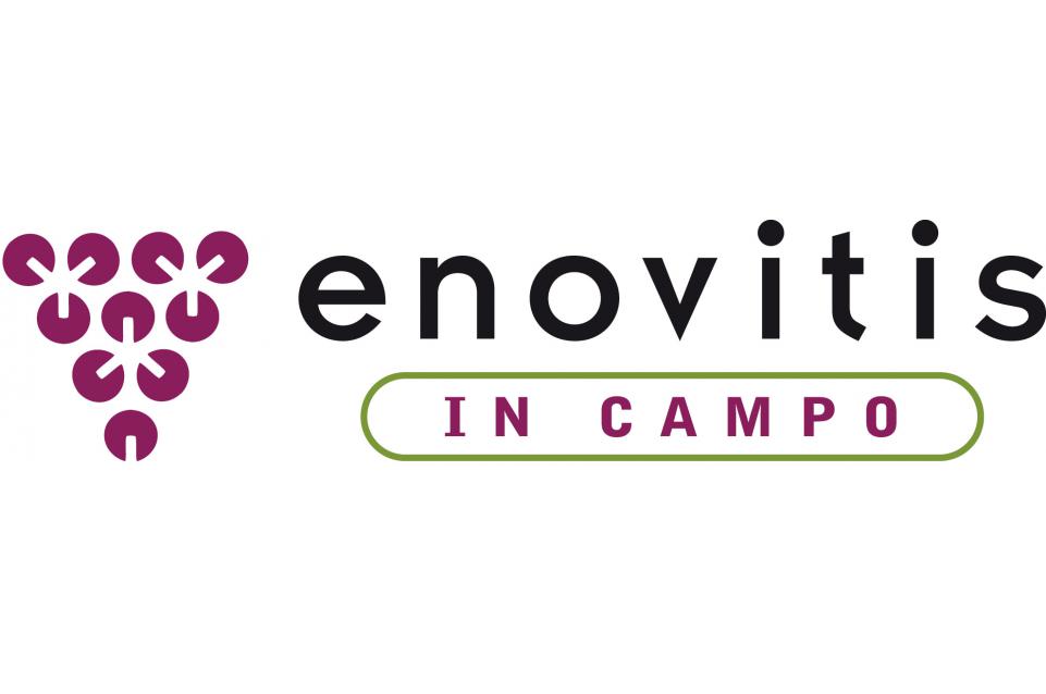 ENOVITIS IN CAMPO 2015: il 5 e 6 giugno a Marsala due giorni dedicati al settore vinicolo ENOVITIS IN CAMPO 2015: il 5 e 6 giugno a Marsala due giorni dedicati al settore vinicolo