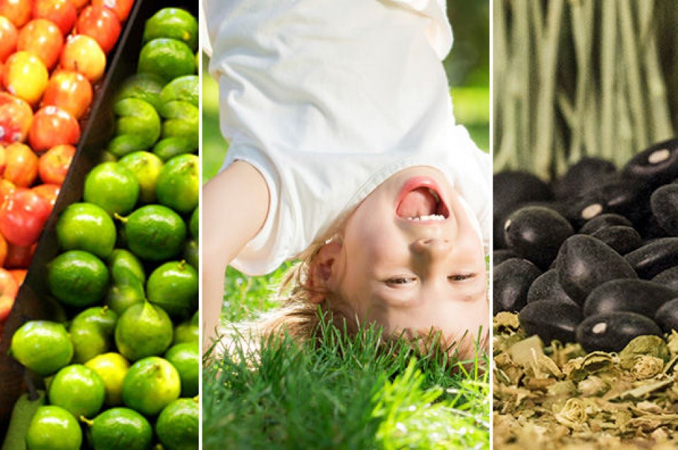 Expo 2015 - cinque Aree Tematiche che interpretano  "Nutrire il Pianeta, Energia per la Vita"