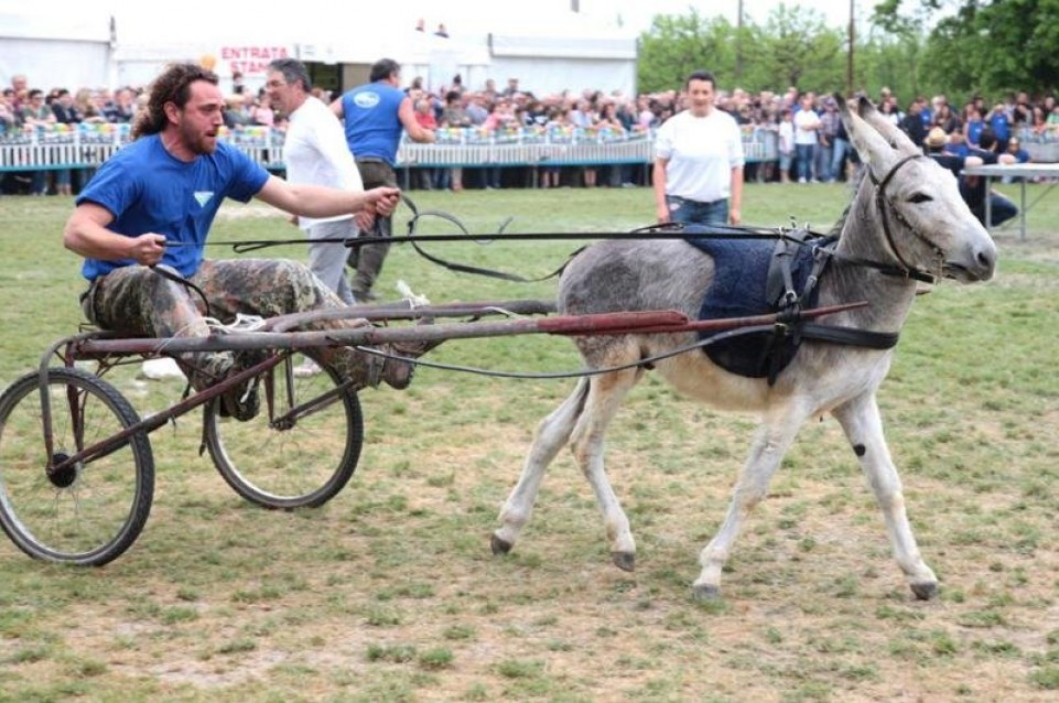 Dal 24 aprile al 4 maggio a Faenza torna la "Sagra della Campagna di Pieve" Dal 24 aprile al 4 maggio a Faenza torna la "Sagra della Campagna di Pieve"