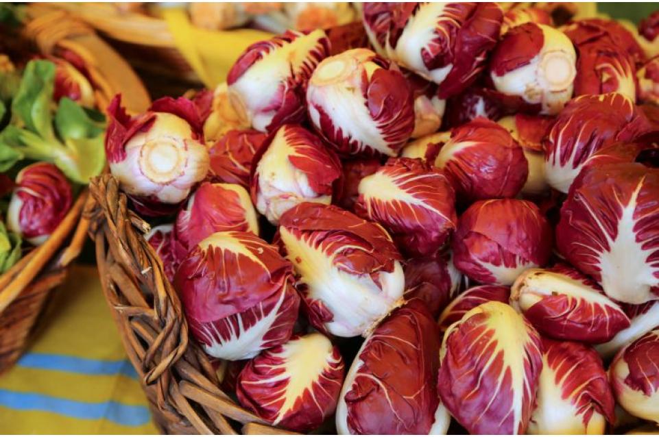 Festa del Radicchio Rosso di Treviso IGP: dal 29 novembre al 1° dicembre a Spresiano 